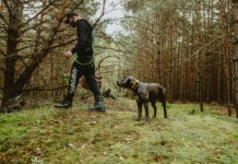 Jak wybrać smycz dla dużego psa? Praktyczny poradnik dla właścicieli